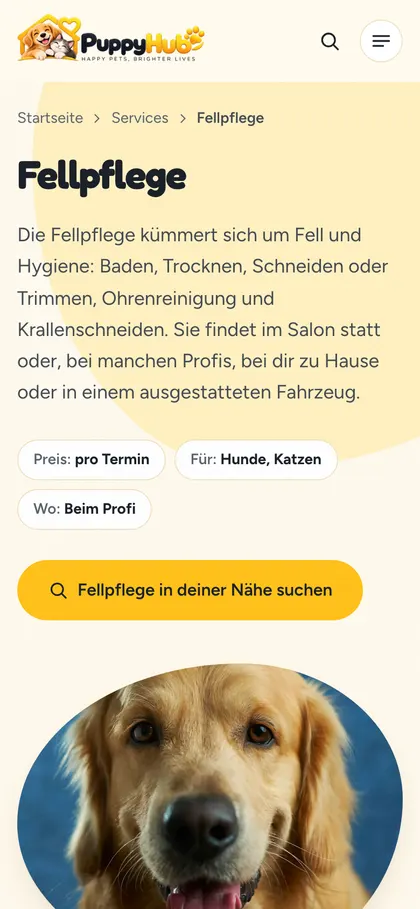 Klare Leistungen und Preise