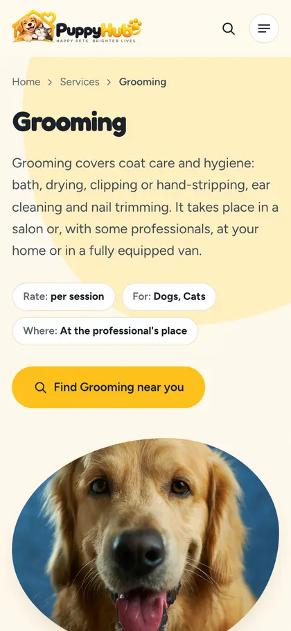Clear services and prices