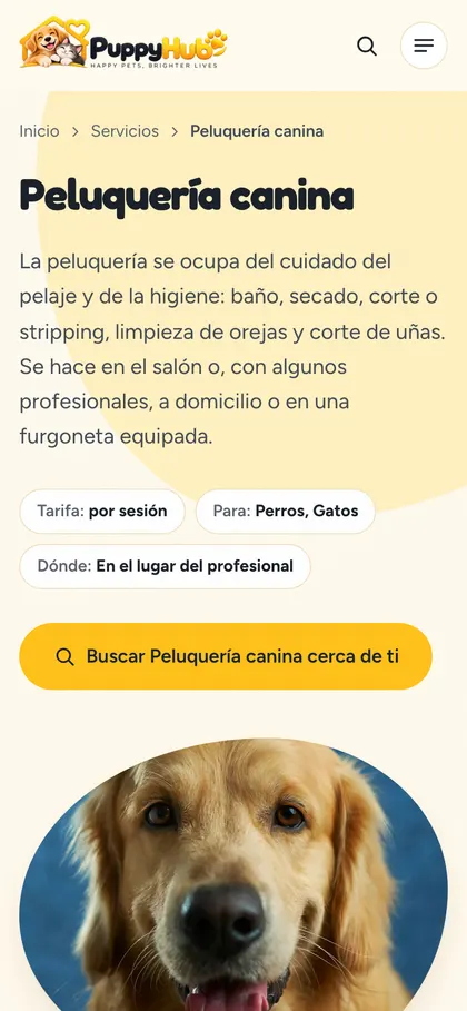 Servicios y precios claros