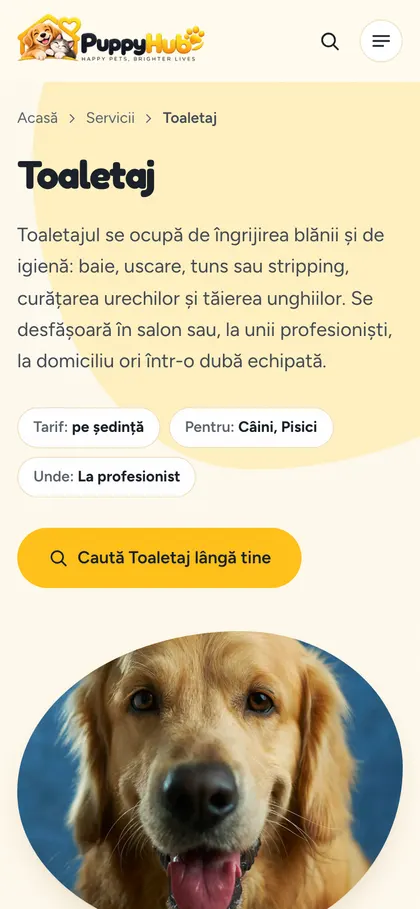 Servicii și prețuri clare